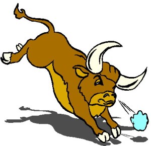 animal-graphics-bull-609783